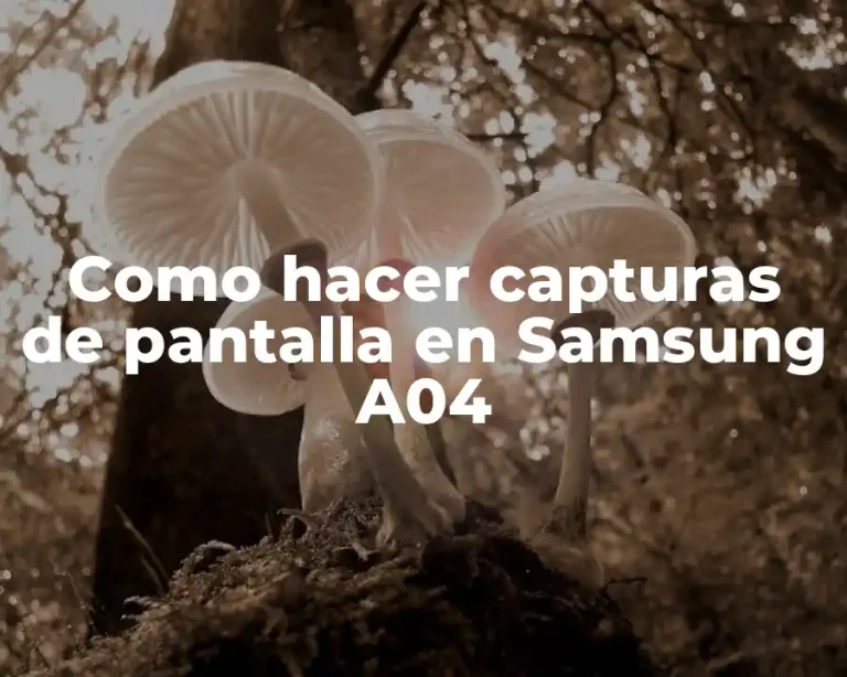 Como hacer capturas de pantalla en Samsung A04