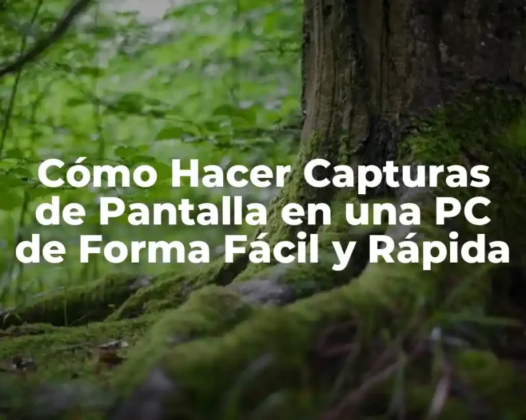 Cómo Hacer Capturas de Pantalla en una PC de Forma Fácil y Rápida