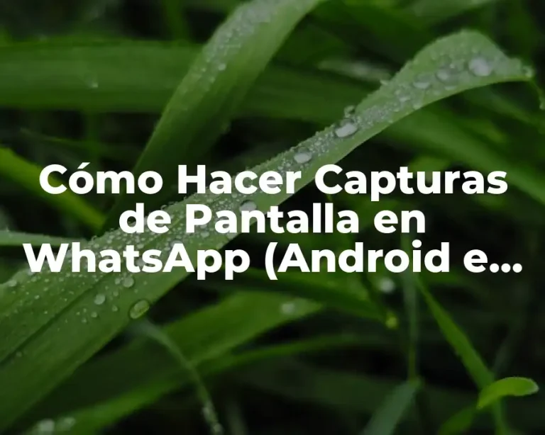 Cómo Hacer Capturas de Pantalla en WhatsApp (Android e iOS)