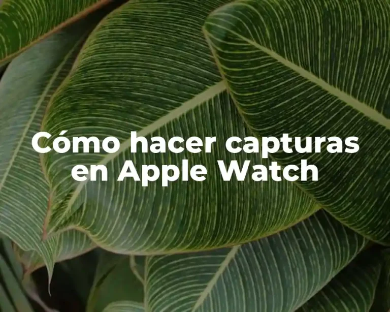Cómo hacer capturas en Apple Watch