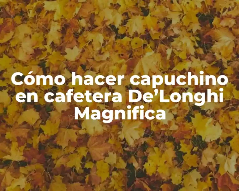 Cómo hacer capuchino en cafetera De’Longhi Magnifica