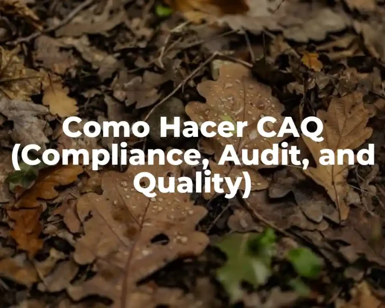 Como Hacer CAQ (Compliance, Audit, and Quality)