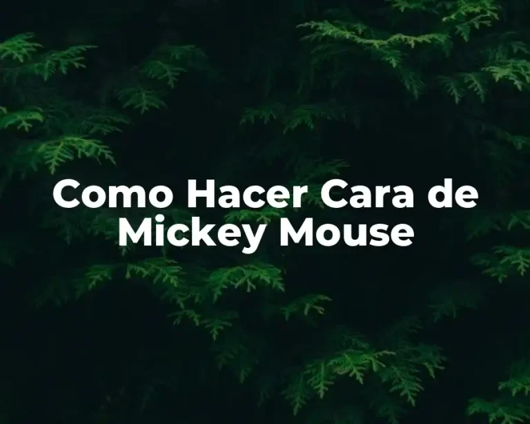 Como Hacer Cara de Mickey Mouse