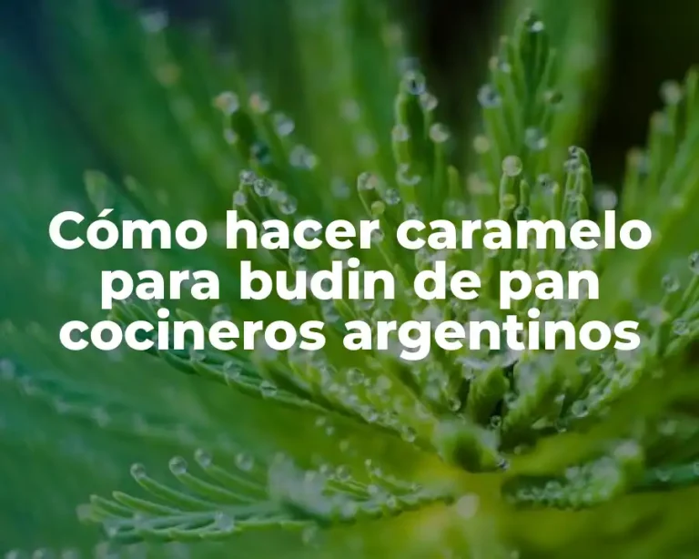 Cómo hacer caramelo para budin de pan cocineros argentinos