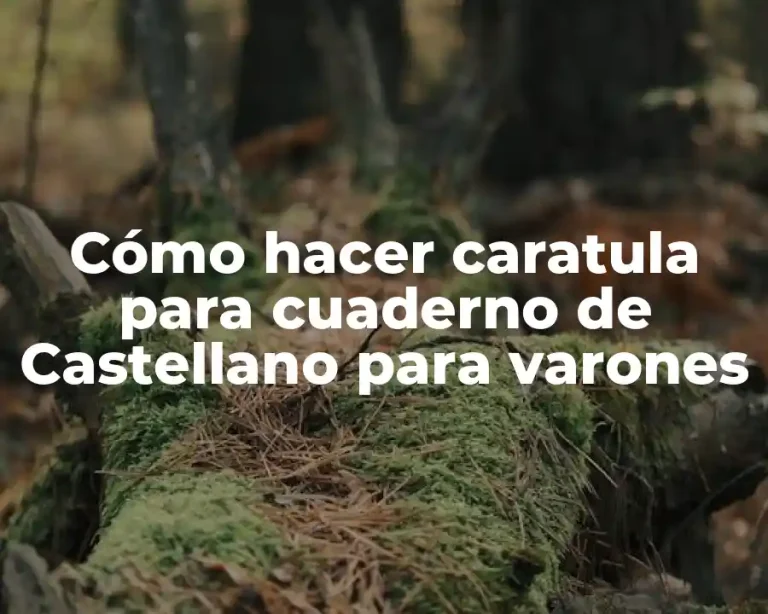 Cómo hacer caratula para cuaderno de Castellano para varones