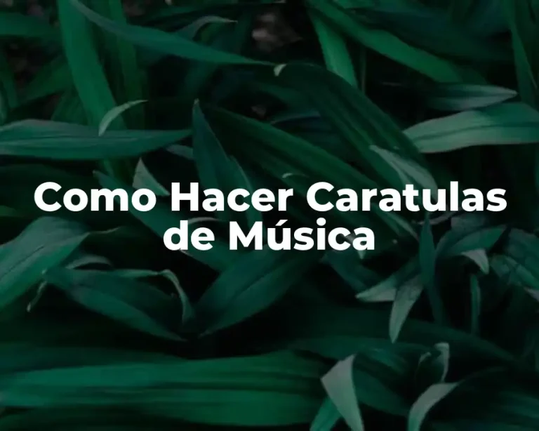Como Hacer Caratulas de Música