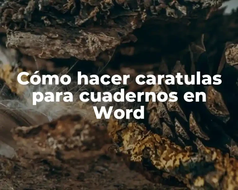 Cómo hacer caratulas para cuadernos en Word