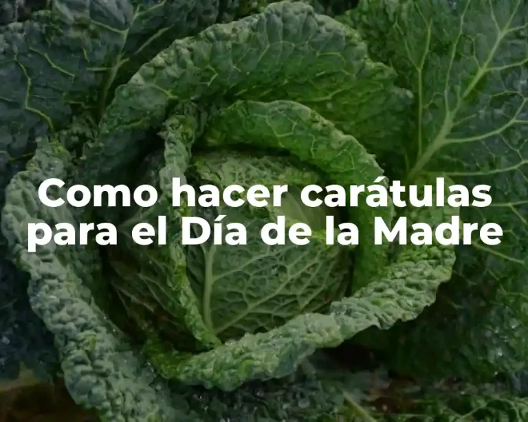 Como hacer carátulas para el Día de la Madre