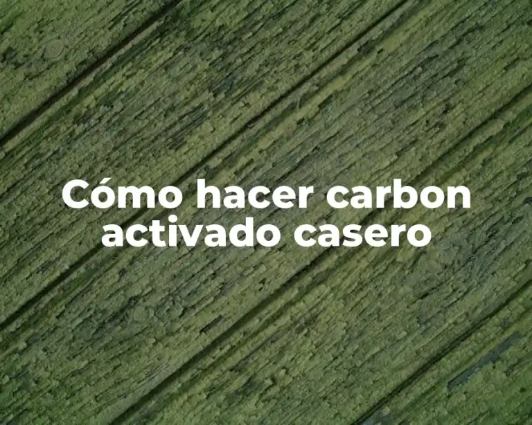 Cómo hacer carbon activado casero