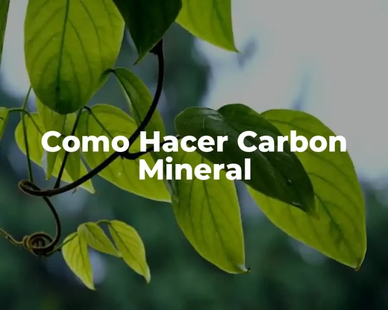 Como Hacer Carbon Mineral