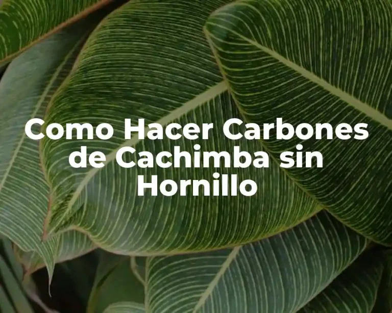 Como Hacer Carbones de Cachimba sin Hornillo