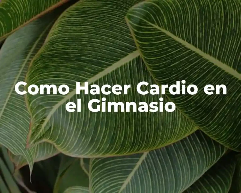 Como Hacer Cardio en el Gimnasio