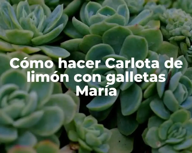 Cómo hacer Carlota de limón con galletas María