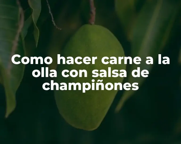 Como hacer carne a la olla con salsa de champiñones