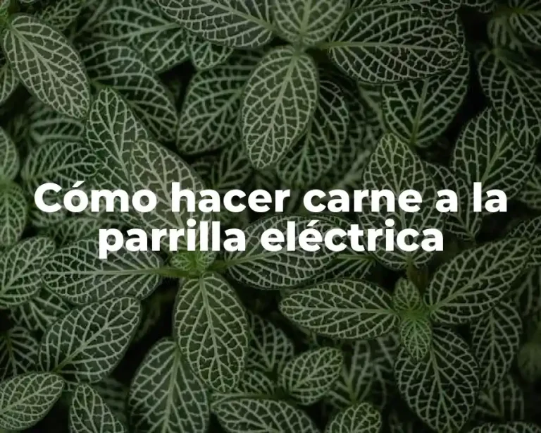 Cómo hacer carne a la parrilla eléctrica