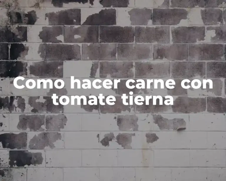 Como hacer carne con tomate tierna