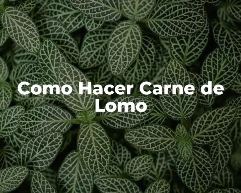 Como Hacer Carne de Lomo