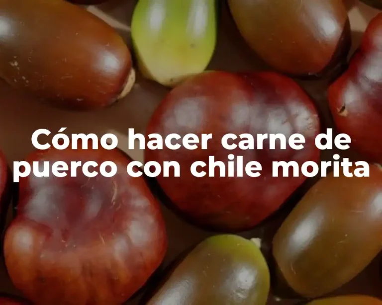 Cómo hacer carne de puerco con chile morita