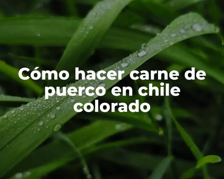 Cómo hacer carne de puerco en chile colorado