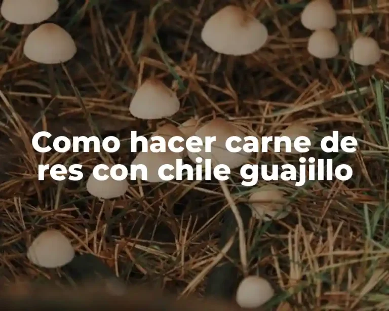Como hacer carne de res con chile guajillo