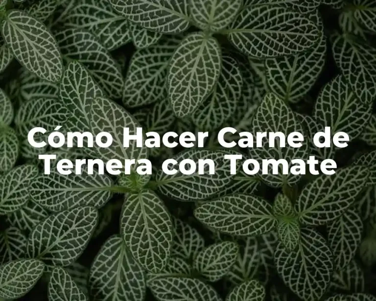 Cómo Hacer Carne de Ternera con Tomate