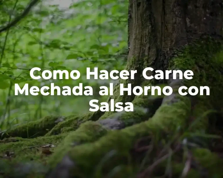 Como Hacer Carne Mechada al Horno con Salsa