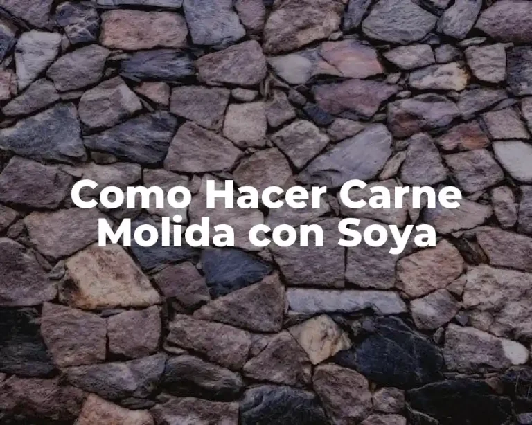 Como Hacer Carne Molida con Soya