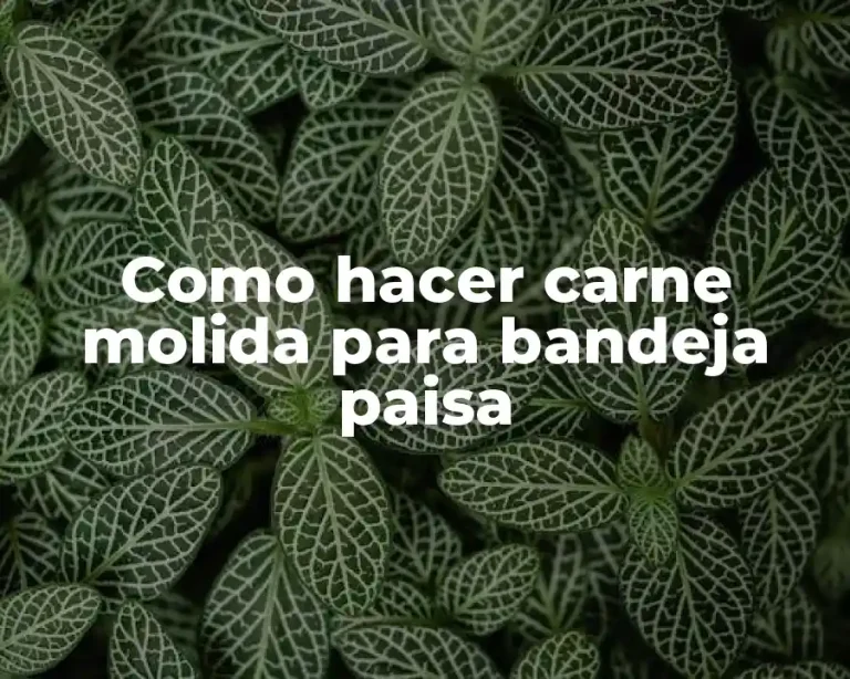 Como hacer carne molida para bandeja paisa