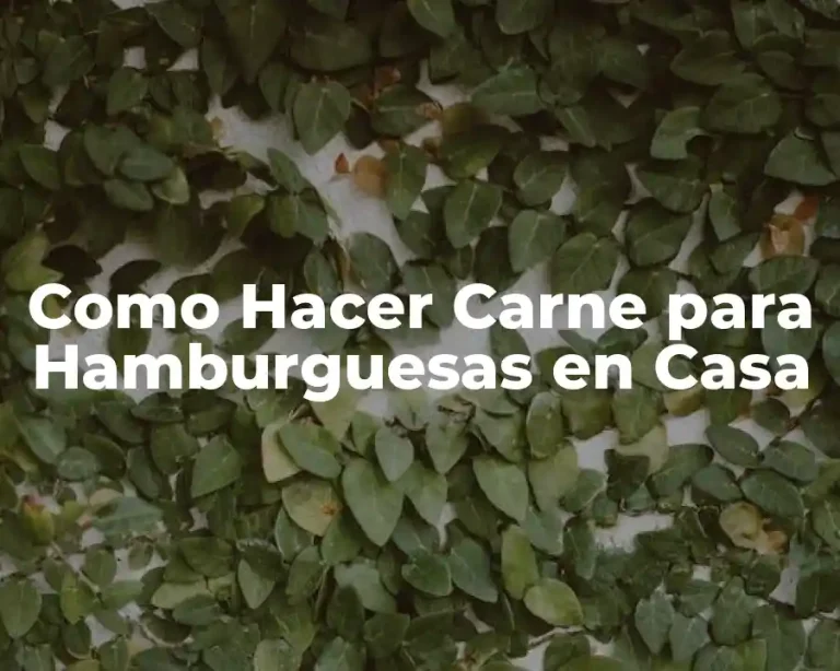 Como Hacer Carne para Hamburguesas en Casa