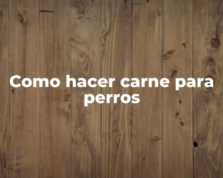 Como hacer carne para perros