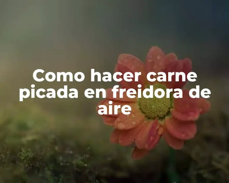 Como hacer carne picada en freidora de aire