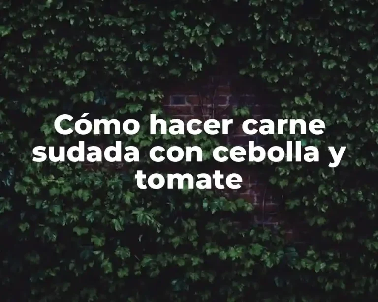 Cómo hacer carne sudada con cebolla y tomate