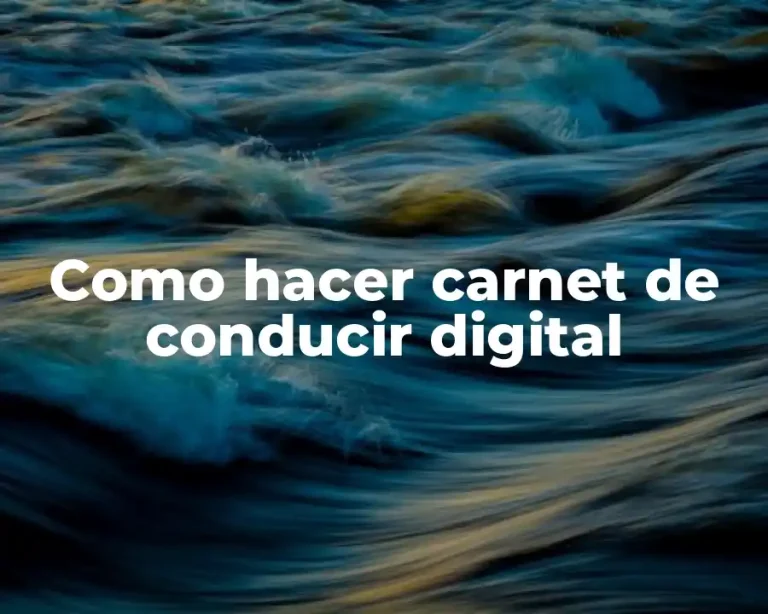 Como hacer carnet de conducir digital