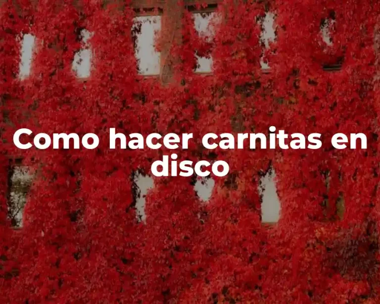 Como hacer carnitas en disco