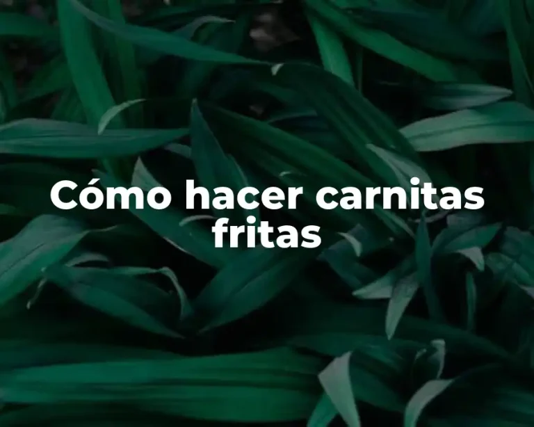 Cómo hacer carnitas fritas