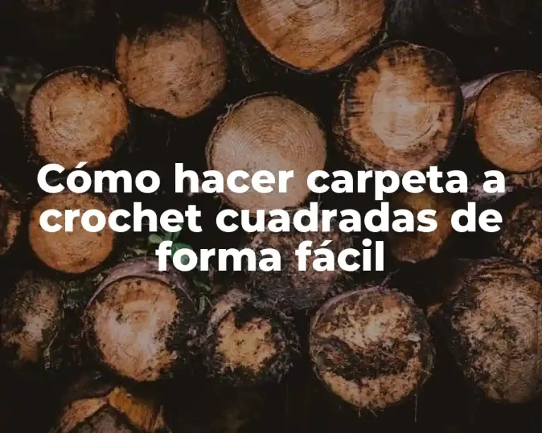Cómo hacer carpeta a crochet cuadradas de forma fácil