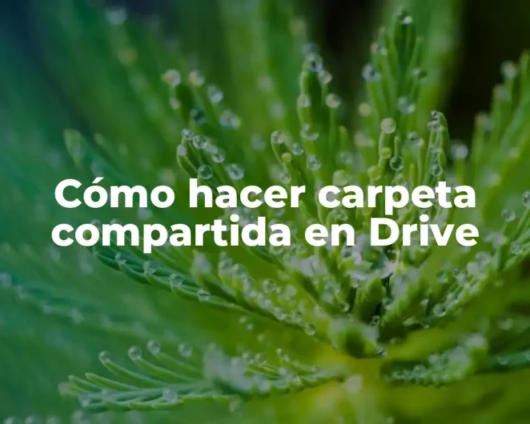 Cómo hacer carpeta compartida en Drive