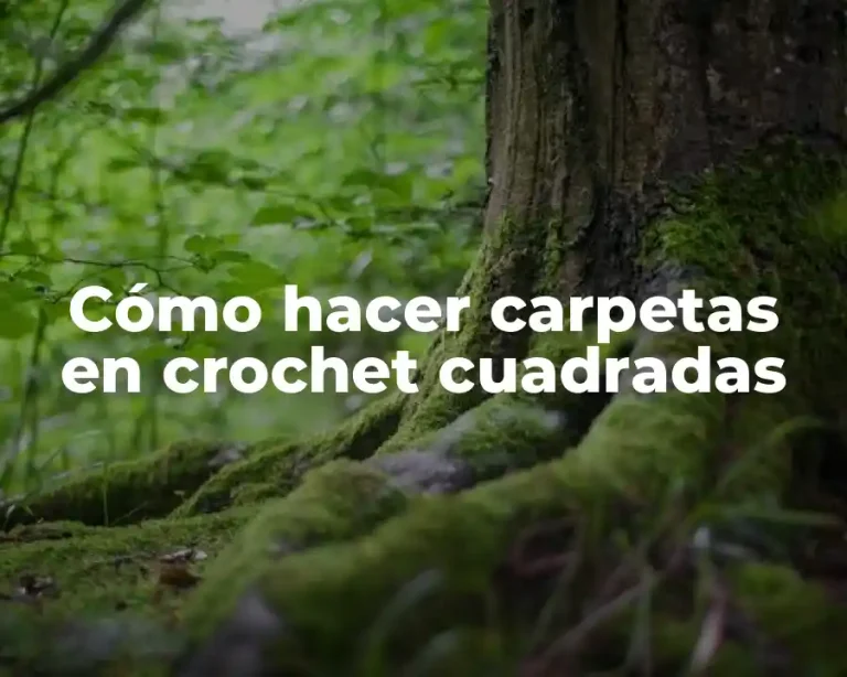 Cómo hacer carpetas en crochet cuadradas