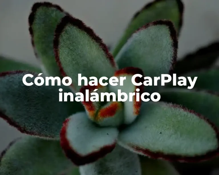 Cómo hacer CarPlay inalámbrico
