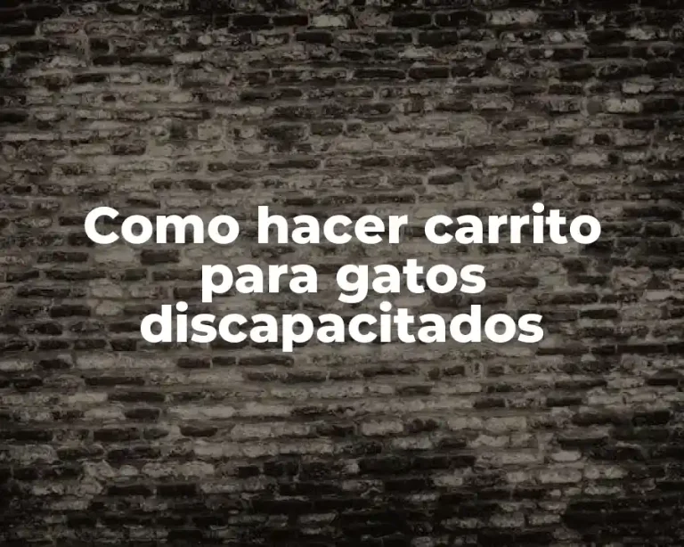 Como hacer carrito para gatos discapacitados
