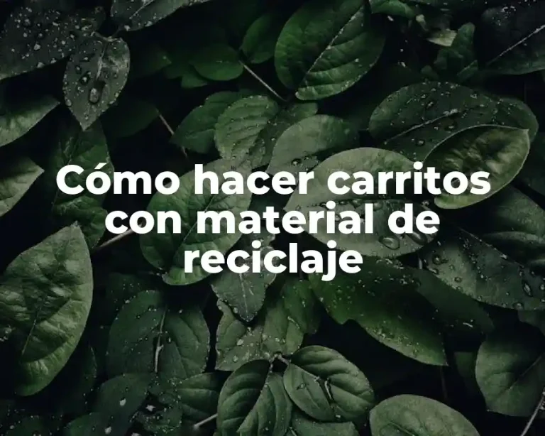 Cómo hacer carritos con material de reciclaje