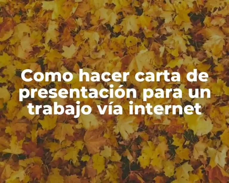 Como hacer carta de presentación para un trabajo vía internet