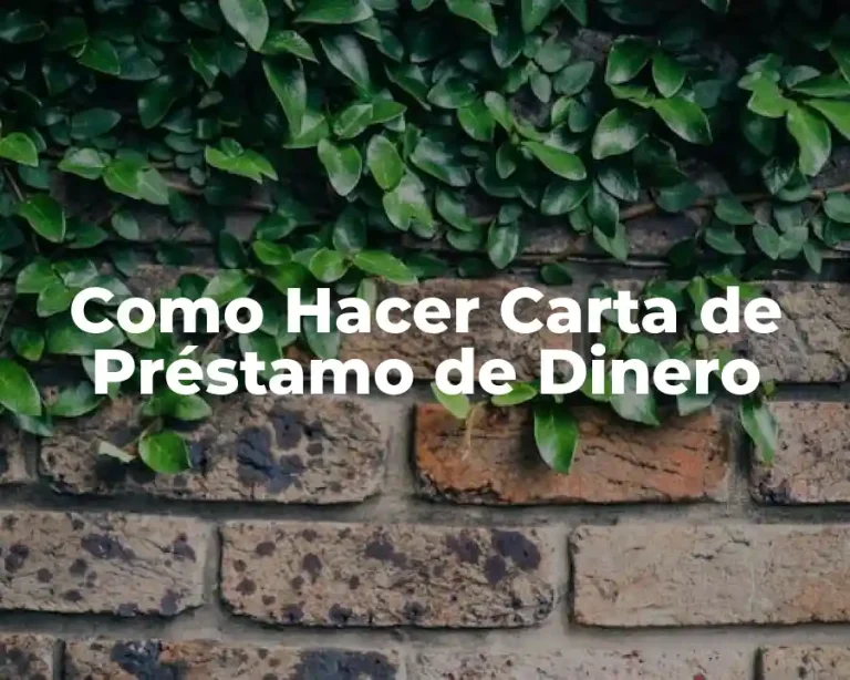 Como Hacer Carta de Préstamo de Dinero