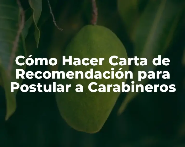 Cómo Hacer Carta de Recomendación para Postular a Carabineros