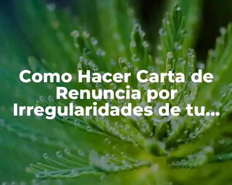 Como Hacer Carta de Renuncia por Irregularidades de tu Jefe