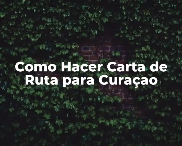 Como Hacer Carta de Ruta para Curaçao
