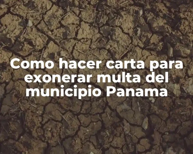 Como hacer carta para exonerar multa del municipio Panama