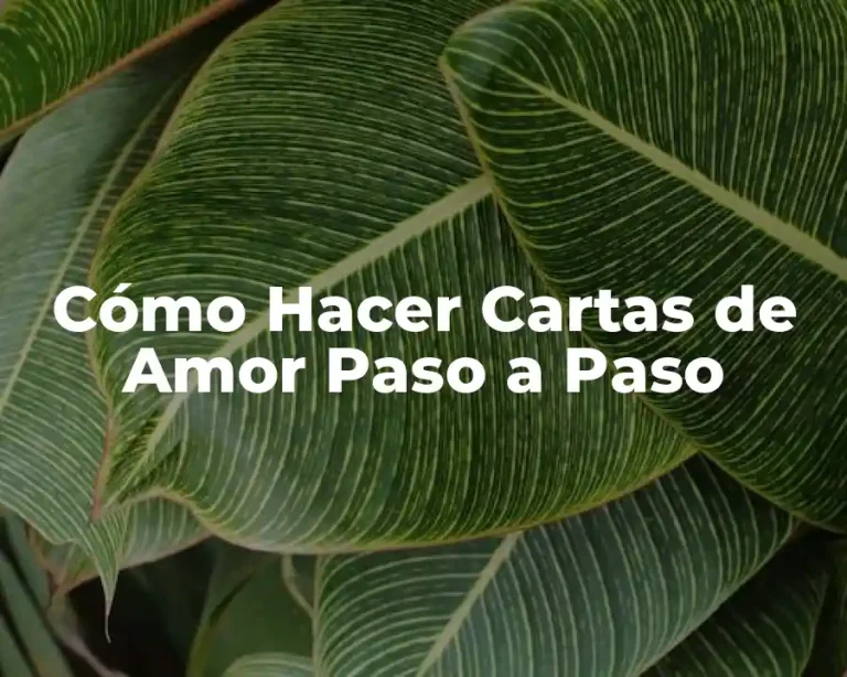 Cómo Hacer Cartas de Amor Paso a Paso