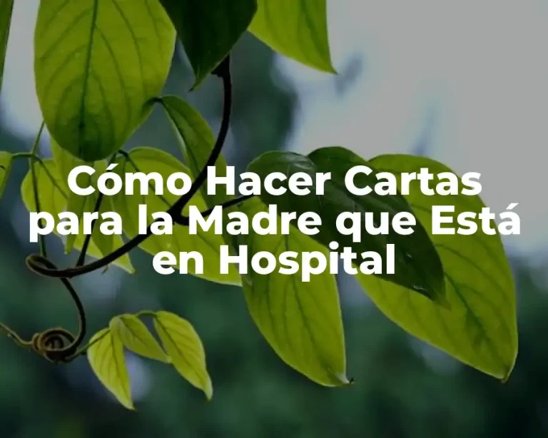 Cómo Hacer Cartas para la Madre que Está en Hospital