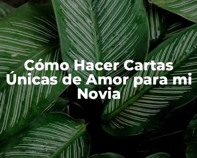 Cómo Hacer Cartas Únicas de Amor para mi Novia